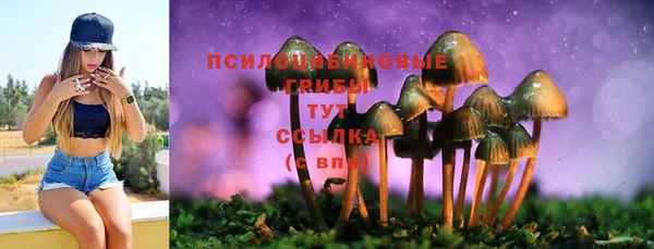 индика Абинск