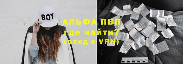 индика Абинск