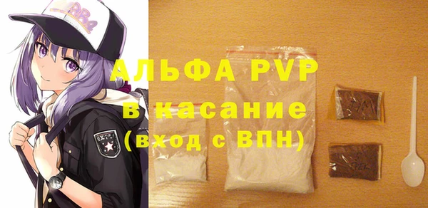 индика Абинск