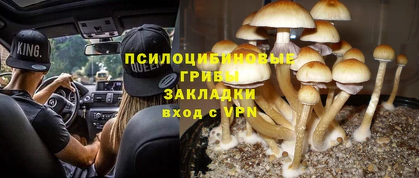 индика Абинск
