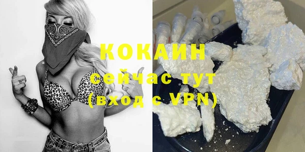 индика Абинск