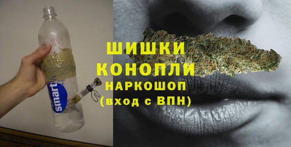 сатива Алексеевка
