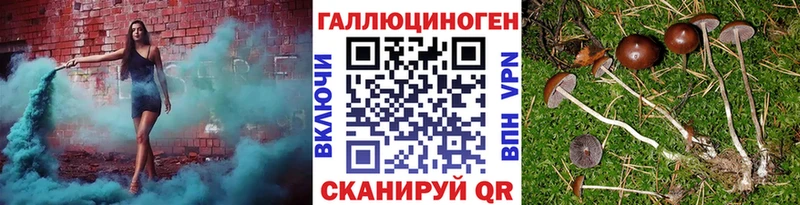 Галлюциногенные грибы прущие грибы  MEGA ТОР  Волоколамск 